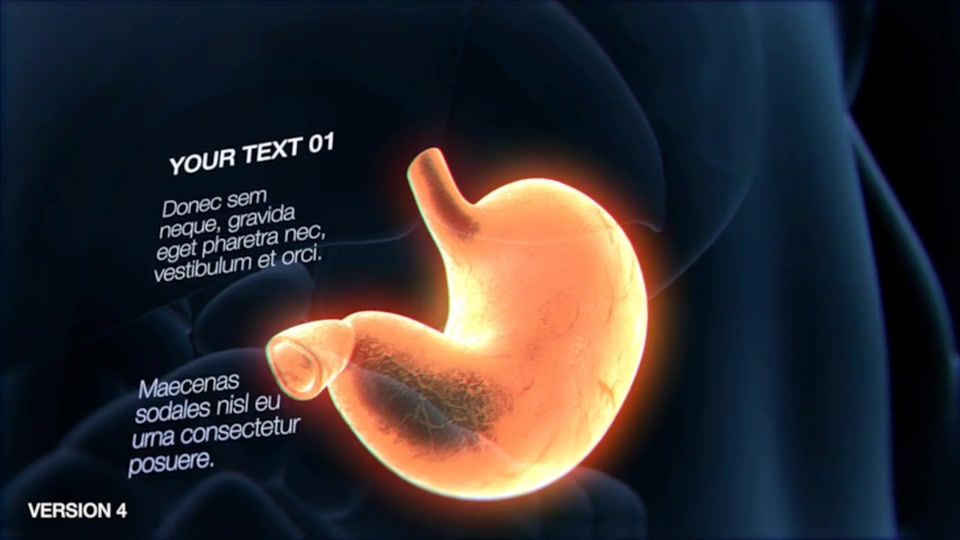 Stomach Elements 2 Videohive 33200534 After Effects Image 9