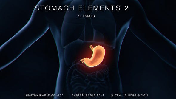 Stomach Elements 2 - Videohive Download 33200534