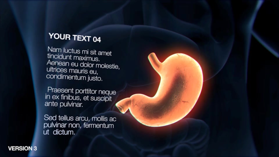 Stomach Elements Videohive 33200461 After Effects Image 10
