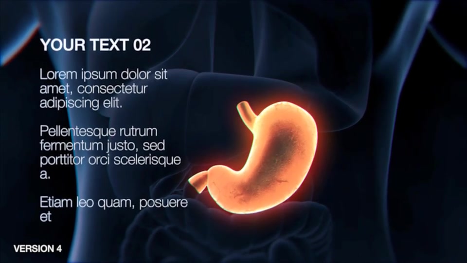 Stomach Elements Videohive 33200461 After Effects Image 11