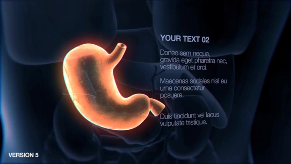 Stomach Elements Videohive 33200461 After Effects Image 13
