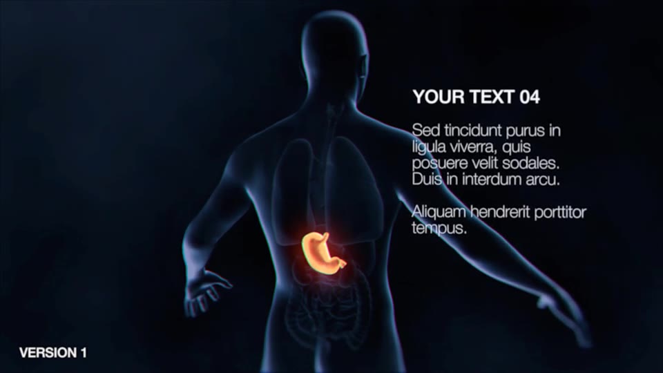 Stomach Elements Videohive 33200461 After Effects Image 2