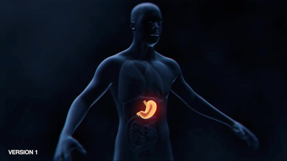 Stomach Elements Videohive 33200461 After Effects Image 3