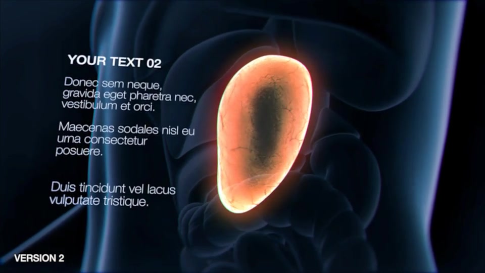 Stomach Elements Videohive 33200461 After Effects Image 4