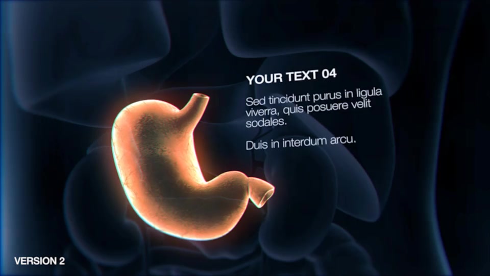 Stomach Elements Videohive 33200461 After Effects Image 5