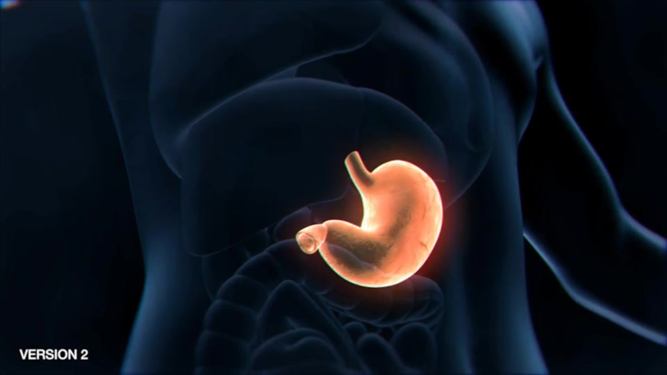 Stomach Elements Videohive 33200461 After Effects Image 6