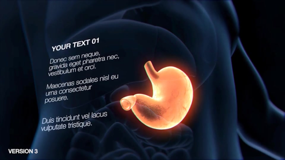 Stomach Elements Videohive 33200461 After Effects Image 7