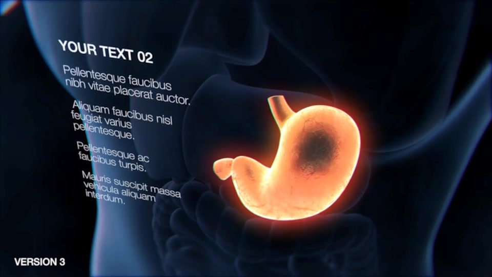 Stomach Elements Videohive 33200461 After Effects Image 8