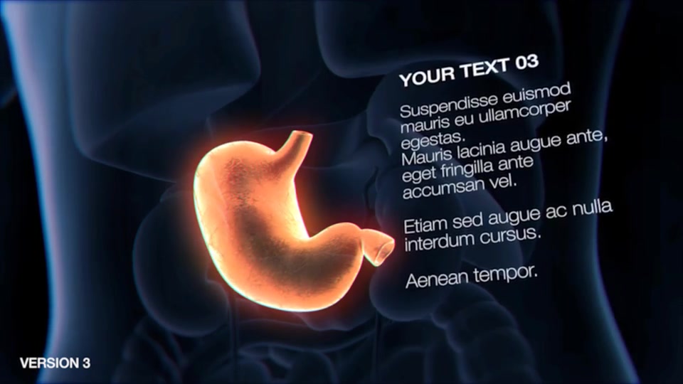 Stomach Elements Videohive 33200461 After Effects Image 9