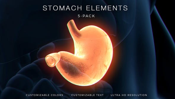 Stomach Elements - Videohive Download 33200461