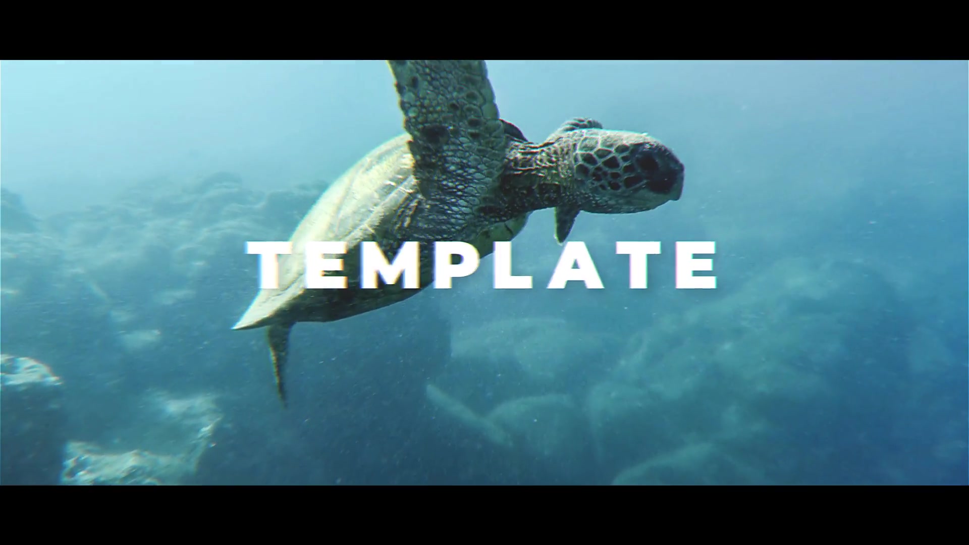 Stomp Intro Videohive 23111182 After Effects Image 7