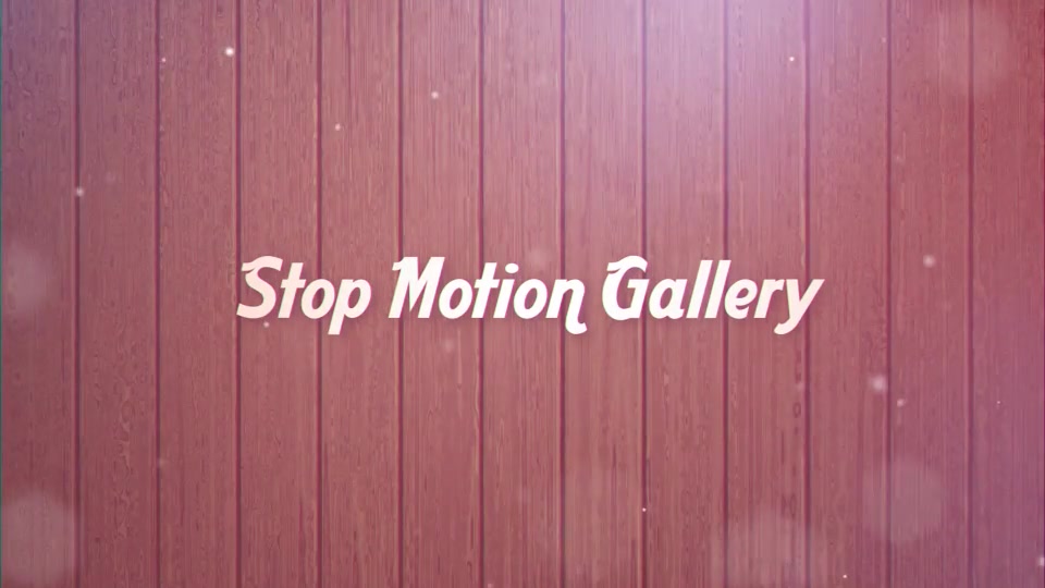 Stop Motion Gallery - Download Videohive 21282463