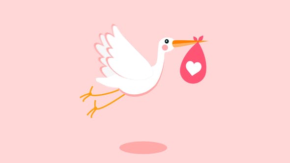 Stork Baby Birthday Opener - Videohive Download 23520539
