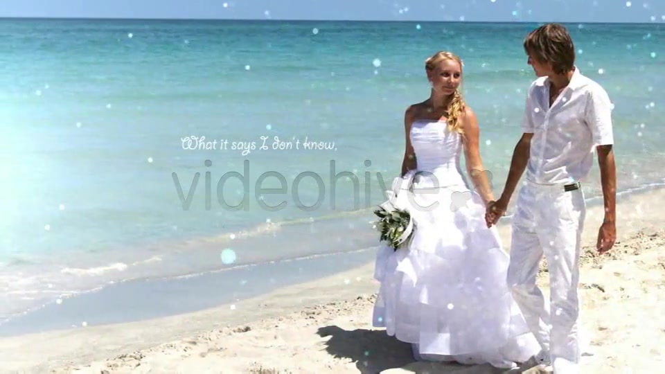 Story of Your Life - Download Videohive 4101228