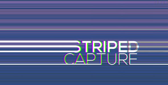 Striped capture - 10930021 Download Videohive