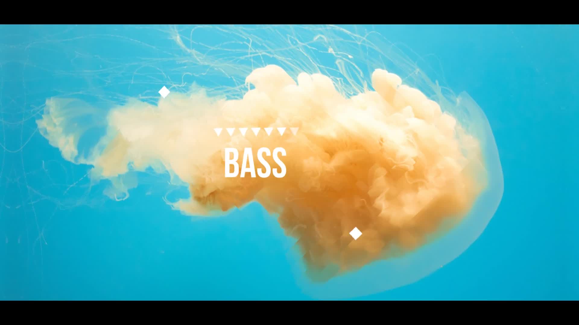 Stylish Bass Opener Videohive 22074001 After Effects Image 2