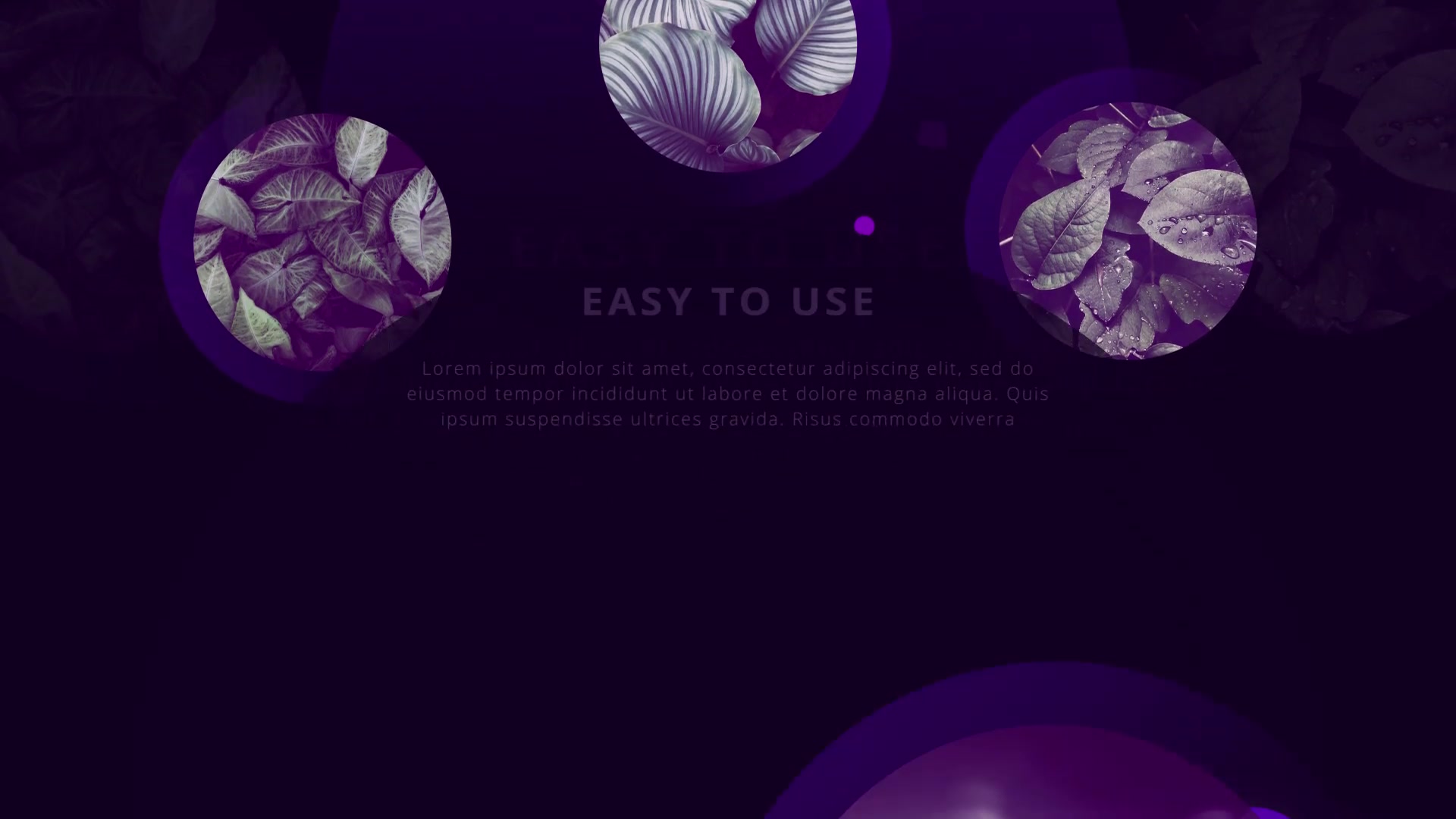 Stylish Circle Presentation Videohive 28854767 After Effects Image 10