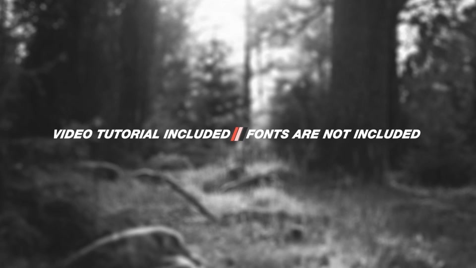 Stylish Lower Thirds Videohive 11432442 After Effects Image 10