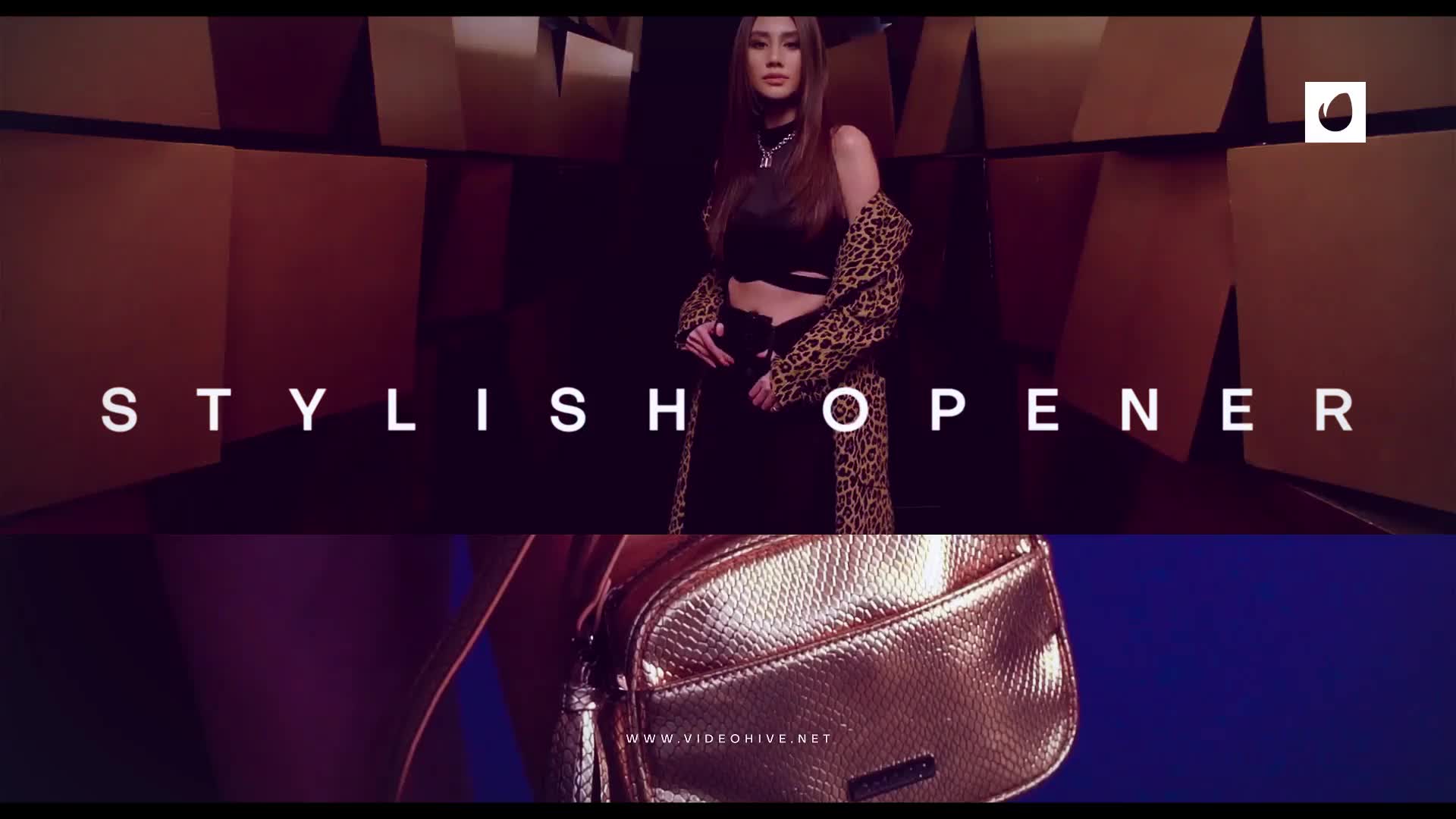 Stylish Opener Videohive 43042204 After Effects Image 2