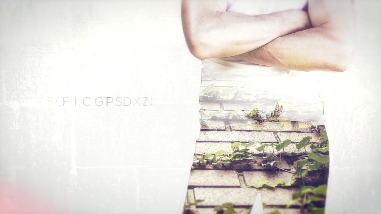 Stylish Parallax - Download Videohive 20118723