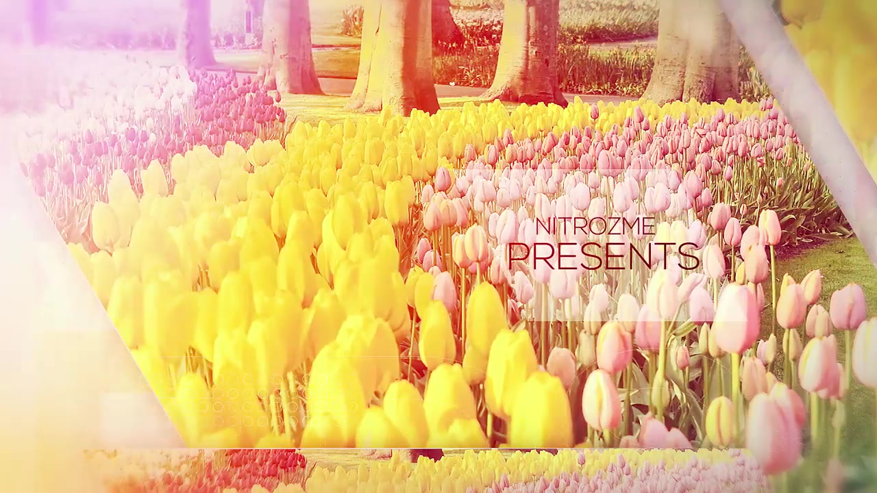 Stylish Promo Videohive 19599686 After Effects Image 6