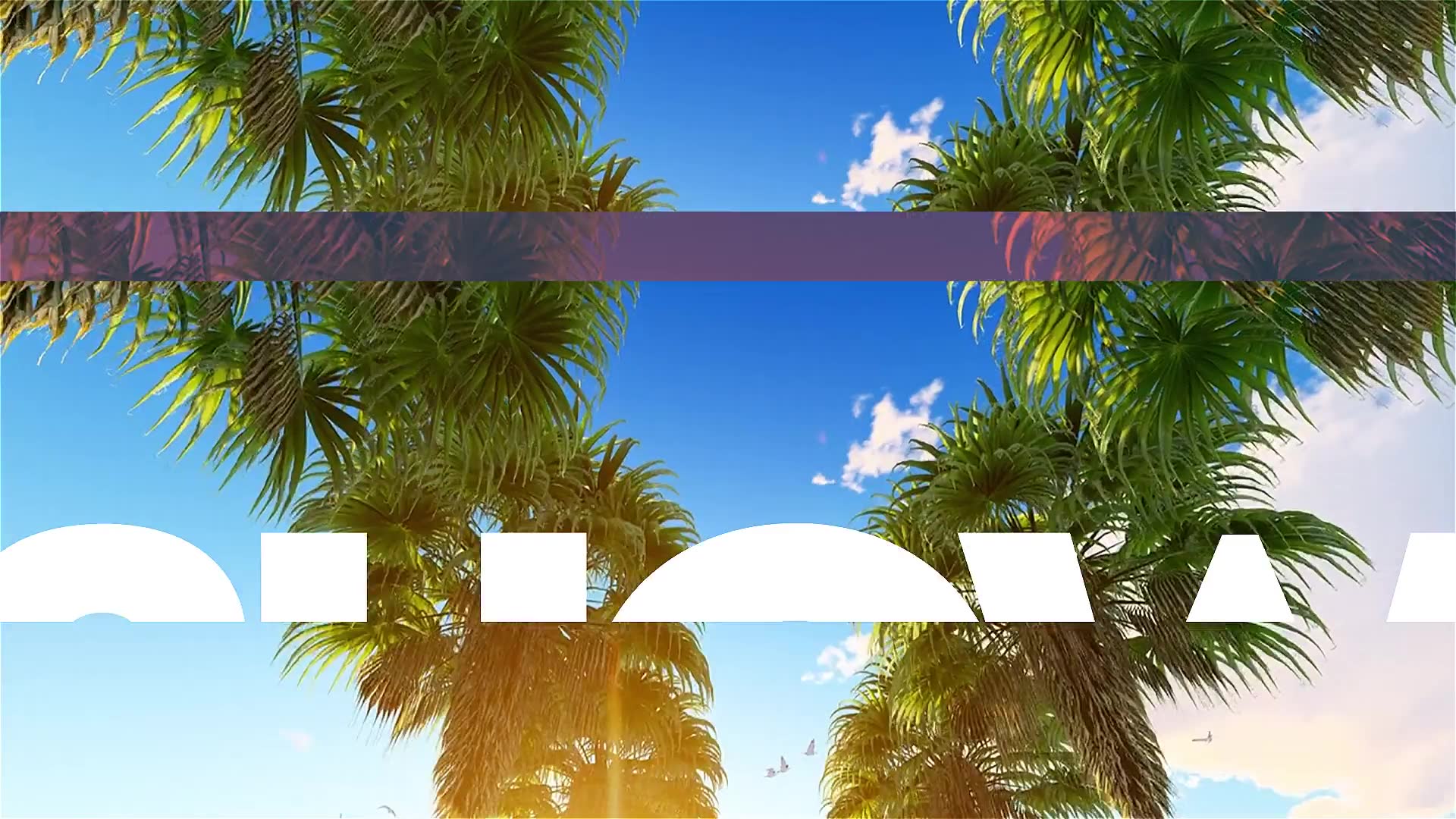 Summer Colorful Opener | After Effects Template Videohive 33594520 After Effects Image 6