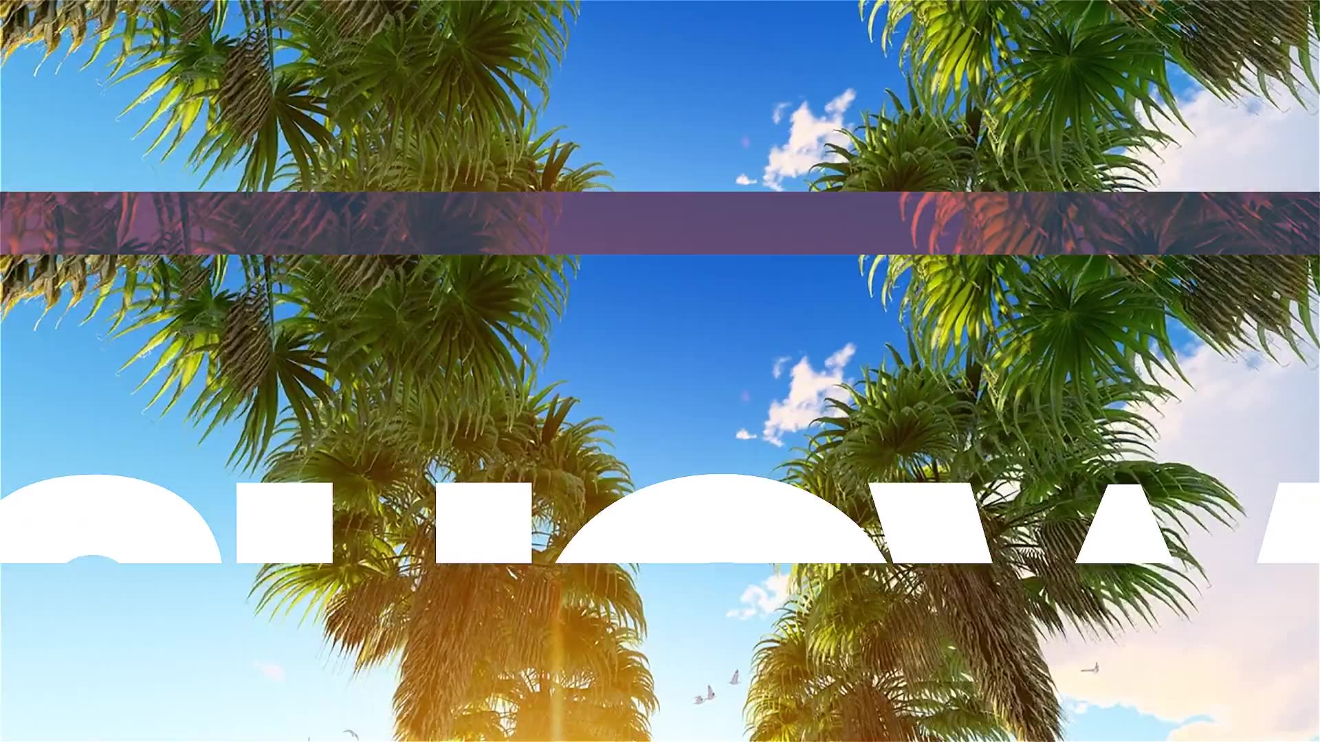 Summer Colorful Opener | Premiere Pro Videohive 36174345 Premiere Pro Image 6
