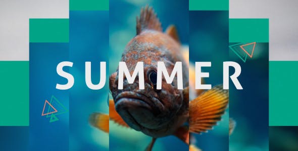 Summer Dynamic Opener - Download Videohive 20394255