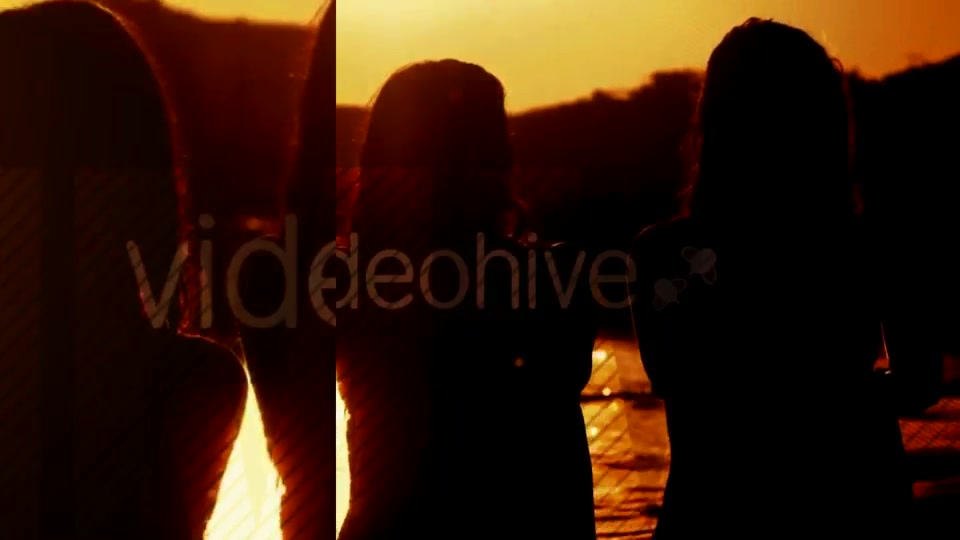 Summer Fashion - Download Videohive 11432865