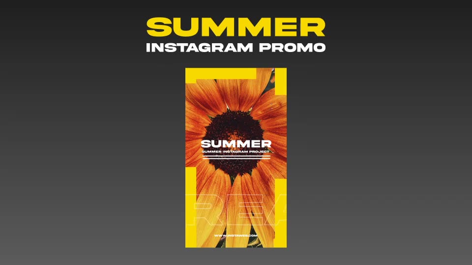 Summer Instagram Videohive 38767476 After Effects Image 3