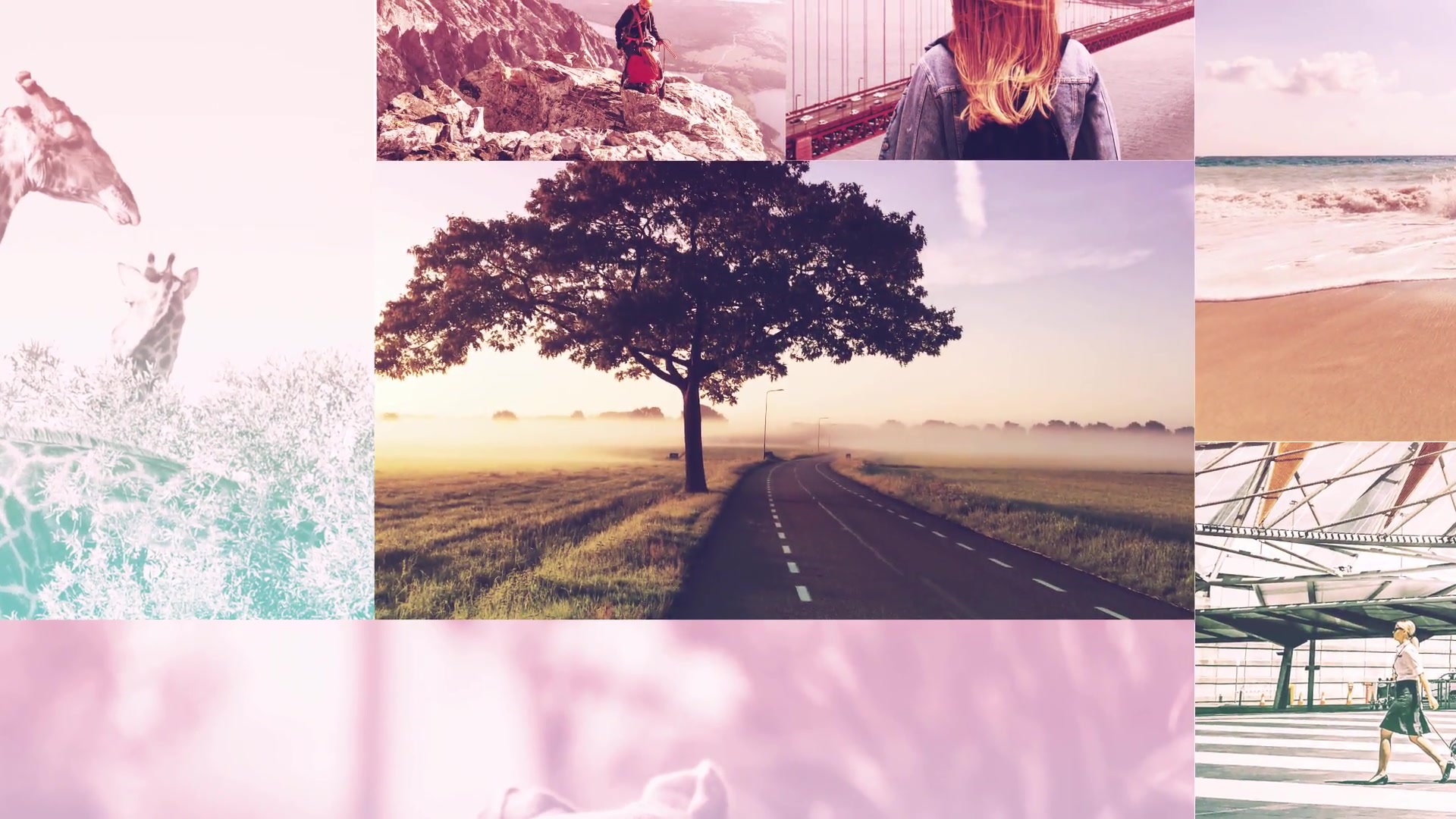 Summer Mosaic Slideshow Videohive 20393198 After Effects Image 3