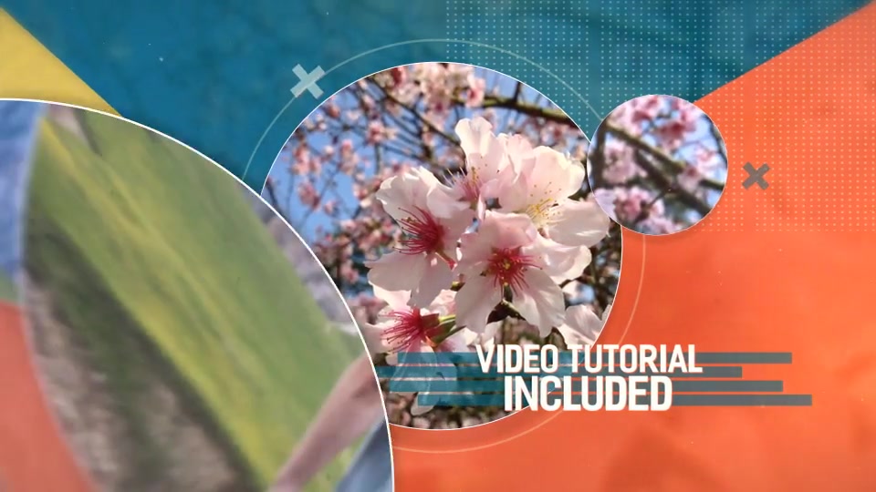 Summer Opener Videohive 20471363 After Effects Image 5