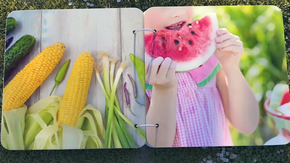 Summer Photo Album Videohive 24115694 After Effects Image 9
