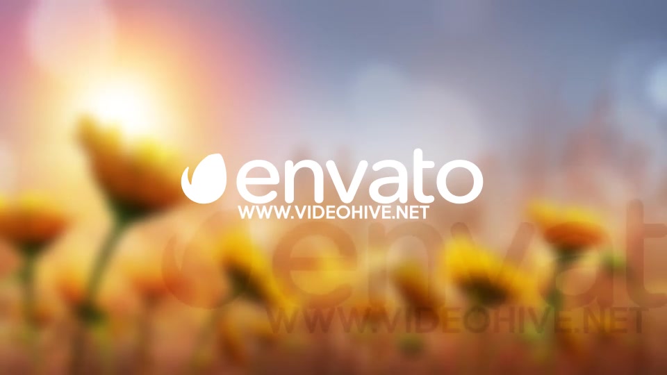 Summer Sunshine - Download Videohive 11299388