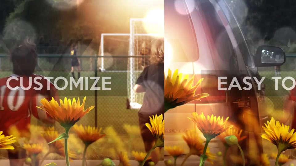 Summer Sunshine - Download Videohive 11299388