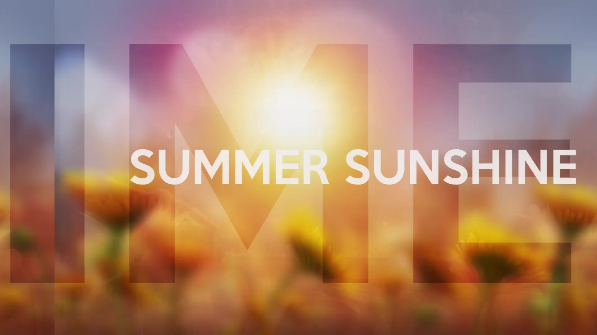 Summer Sunshine Premiere Pro Videohive 27016923 Premiere Pro Image 3