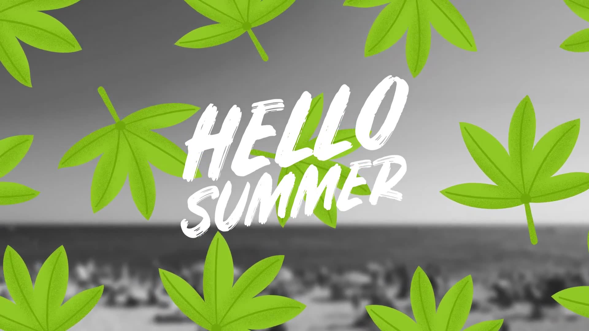 Summer Title Elements Videohive 24473341 After Effects Image 11