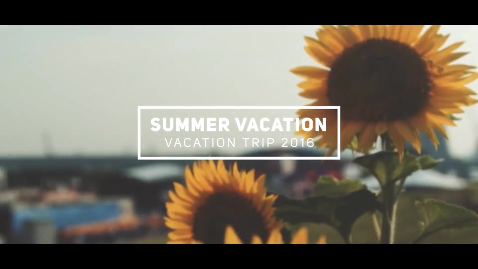 Summer Vacation Videohive 17448491 After Effects Image 12