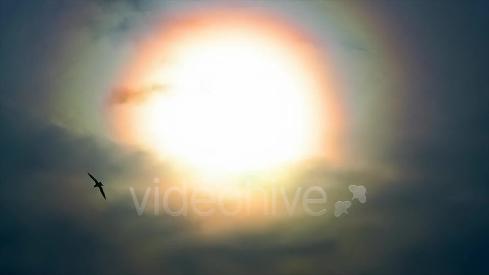 Sun And Bird  Videohive 2411349 Stock Footage Image 11