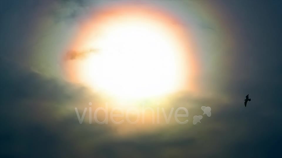 Sun And Bird  Videohive 2411349 Stock Footage Image 2