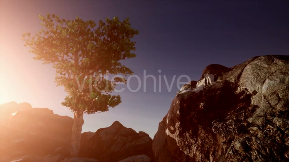 Sun Beams Through Trees - Download Videohive 20880255