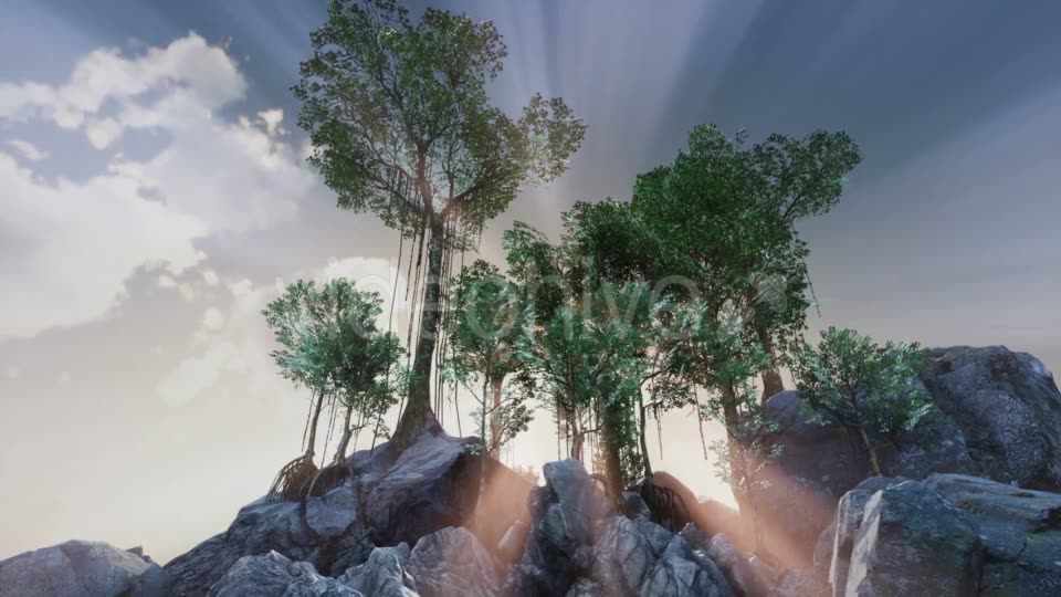Sun Beams Through Trees - Download Videohive 20880257