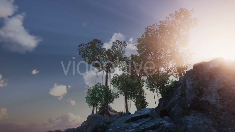 Sun Beams Through Trees - Download Videohive 20880257