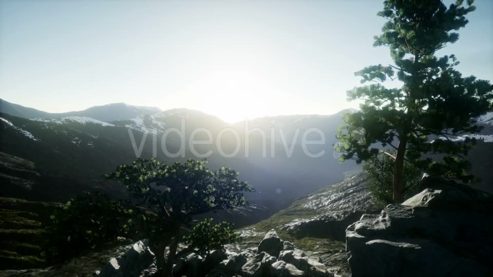 Sun Beams Through Trees - Download Videohive 20907708