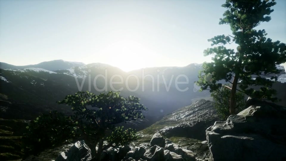 Sun Beams Through Trees - Download Videohive 20907708