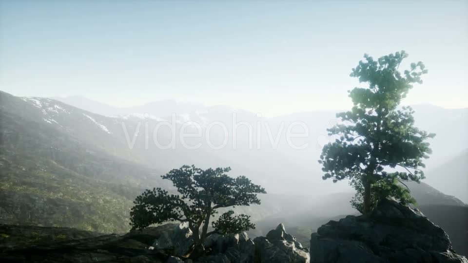 Sun Beams Through Trees - Download Videohive 20943451