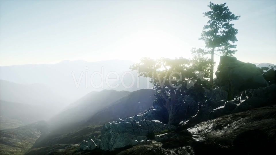 Sun Beams Through Trees - Download Videohive 20943451