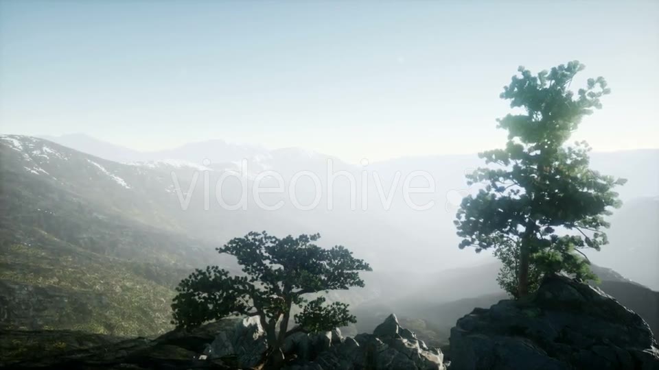 Sun Beams Through Trees - Download Videohive 20943451