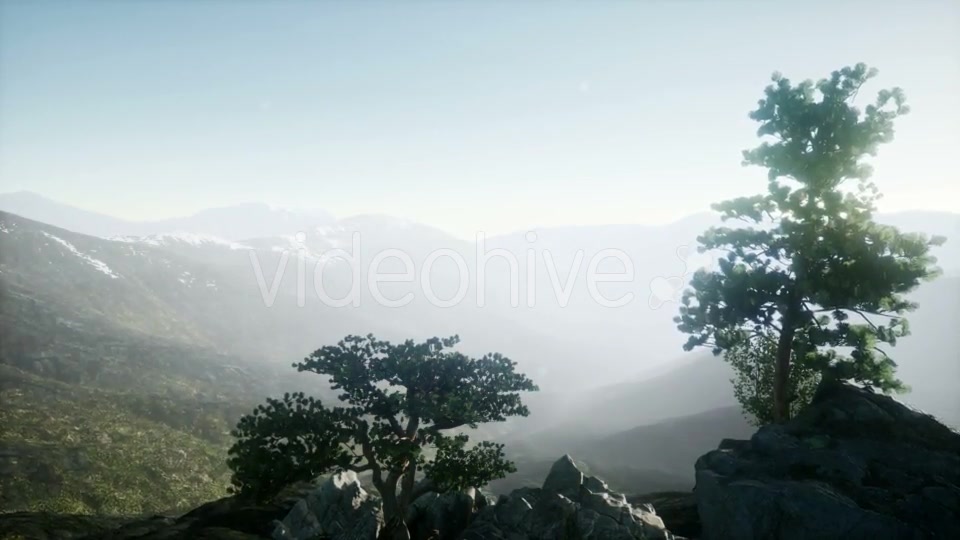 Sun Beams Through Trees - Download Videohive 20943451