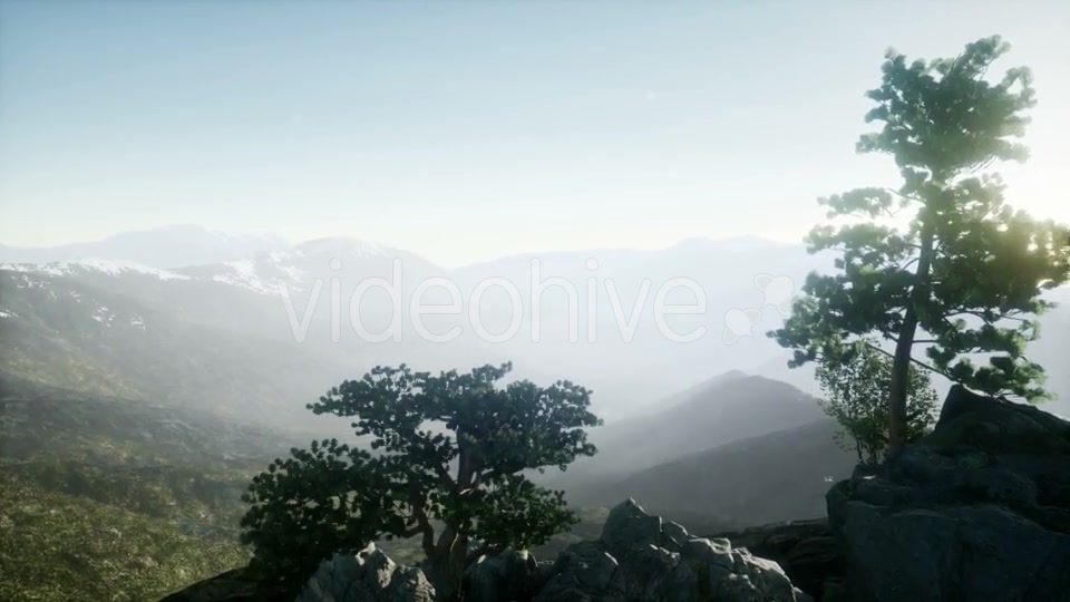 Sun Beams Through Trees - Download Videohive 20943451